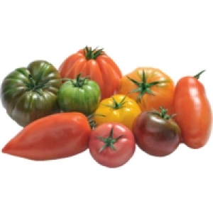 Tomate Saveur dAntan De 900g à 1,1kg Catégorie 2 - Origine France
