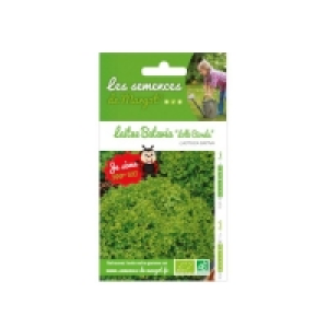 Graines de laitue batavia Bio