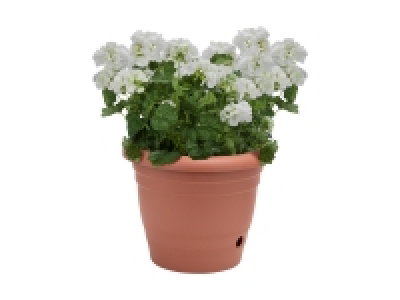 Pot de fleurs 4.99 €