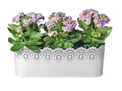 Cache-pot 2.99 €