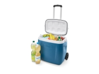 Lidl  Glacière trolley