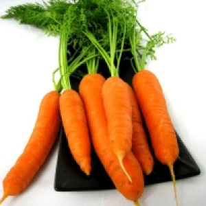 Carottes De 900g à 1,1kg Catégorie 2 - Origine Italie