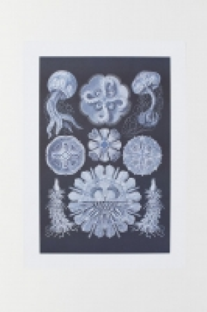Poster 7.99 €