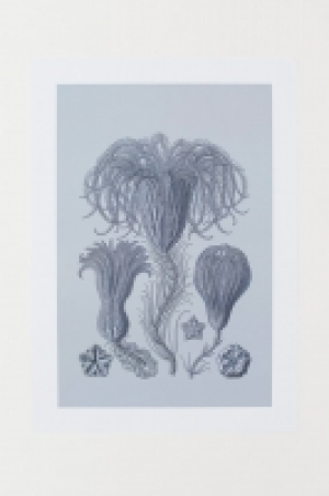 Poster 8.99 €