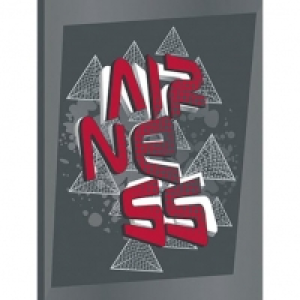 Auchan Airness AIRNESS Cahier de texte 16x22cm 388 pages gris et rouge