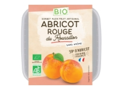 Sorbet à labricot Bio