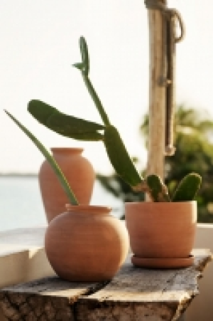 Pot de fleurs en terracotta 12.99 €