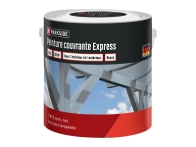 Peinture couvrante express 13.99 €