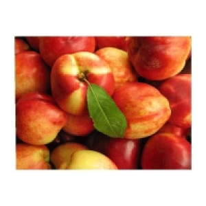 Spar  Nectarine jaune De 900g à 1,1kg Catégorie 1 - Calibre A - Origine Fran