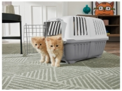 Bac à litière pour chat ou caisse de transport 9.99 €