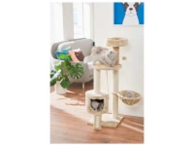 Arbre à chat 34.99 €