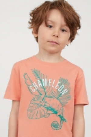 Lot de 2 T-shirts en coton 6.99 €
