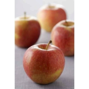 Pommes Reine Reinette De 900g à 1.100kg Catégorie 1 - Calibre 150/220
