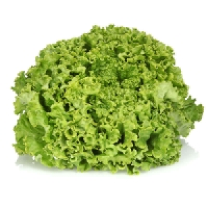 Salade Batavia - Cat. 1 La pièce Catégorie 1 - Origine France 1.49 €