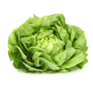 Salade - Variété Laitue - Cat. 1 La pièce Catégorie 1 - Origine France 1.49 €