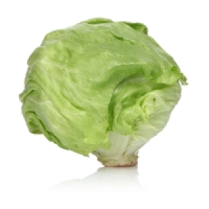 Salade laitue - Variété Iceberg - Cat. 1 La pièce Catégorie 1 - Origin 1.25 €