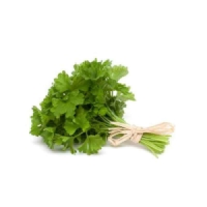 Coriandre fraîche - Cat. 1 20g Catégorie 1 - Origine France 1.95 €