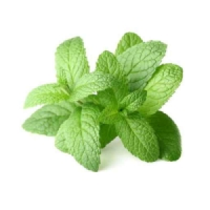 Menthe fraîche - Cat. 1 20g Catégorie 1 - Origine France 1.95 €