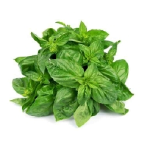 Spar  Herbe basilic frais - Cat. 1 20g Catégorie 1 - Origine France