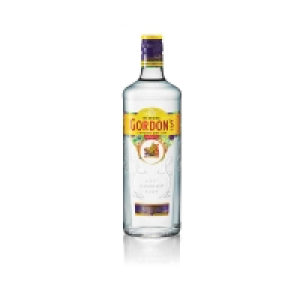 Gin - Alc. 35% vol. 70cl 17.95 €
