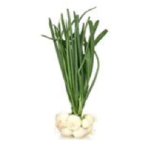 Oignons blancs - Botte - Cat.1 La pièce Catégorie 1 - Origine Italie 1.80 €