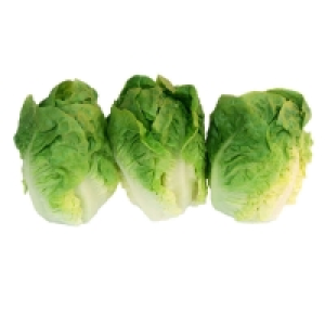 Salade Sucrine - x3 - Cat. 1 La pièce Catégorie 1 - Origine Espagne