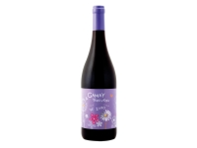 Gamay Nouveau 2020 Vin de France