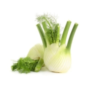 Fenouil - Cat. 1 De 800g à 1kg Catégorie 1 - Calibre 12/14 - Origine I 3.90 €
