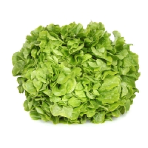 Salade Feuille de chêne blonde - Cat. 1 La pièce Catégorie 1 - Origine 0.95 €