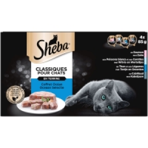 Terrine pour chat - Coffret Océan - Saumon - poissons blancs - thon -  3.32 €