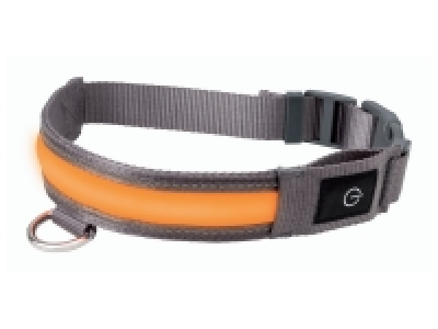 Collier à LED pour chien 4.99 €