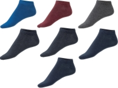 Socquettes homme 4.99 €