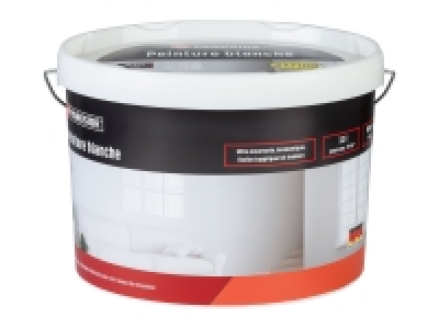 Peinture blanche 16.99 €