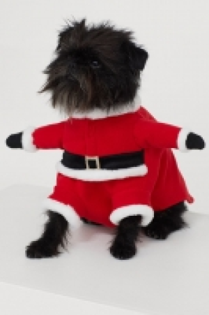 HM  Déguisement pour chien