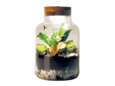 Terrarium lumineux « led » 10.99 €