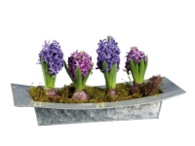 Composition de Jacinthes Design
