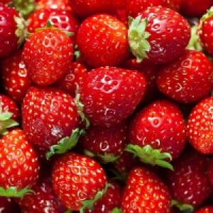 Fraises 1.79 €