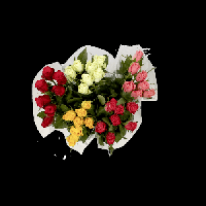 Bouquet de 7 roses premium 4.99 €