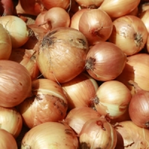 Oignons jaunes 1.49 €