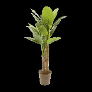 Aldi Living Art® LIVING ART® Plante artificielle