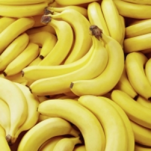Bananes certifiées fairtrade bio