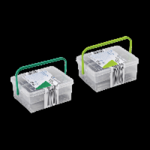 WORKZONE® Vis en inox
