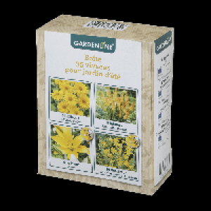 Aldi Gardenline® GARDENLINE® Boîte de 35 vivaces pour jardin dété