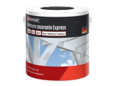 Peinture couvrante express 11.99 €