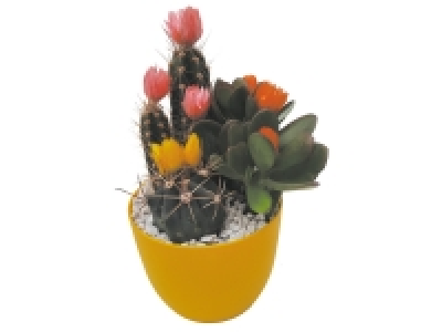 Cactus avec fleurs séchées 5.49 €