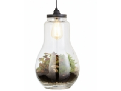 Lidl  Ampoule lumineuse végétale