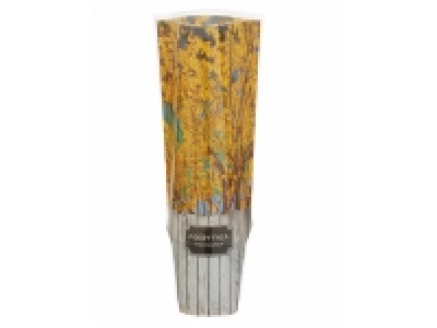 Arbuste de jardin 3.99 €