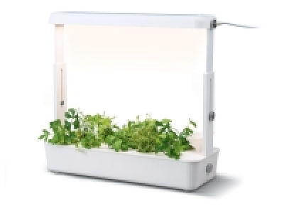 Système de plantation avec éclairage LED 39.99 €