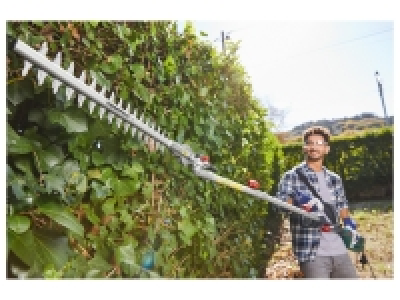 Taille-haies à manche long 58.99 €