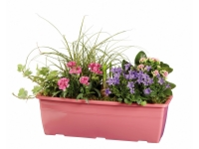 Lidl  Jardinière de printemps